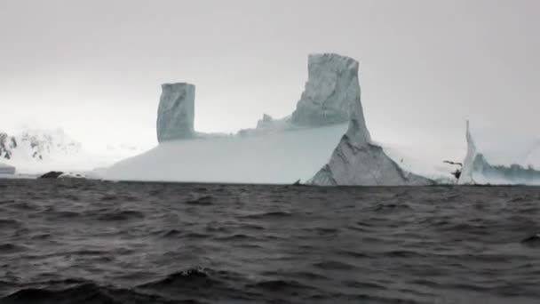 Huge unique glacier iceberg in ocean of Antarctica. — Stock Video