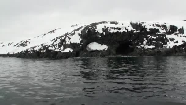 Costa de nieve en el océano de la Antártida . — Vídeos de Stock