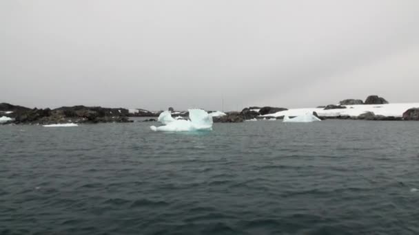 Académico de la Estación Científica Antártica Vernadsky . — Vídeos de Stock