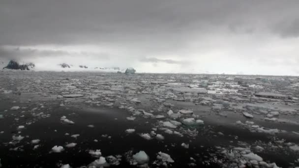 Ice movement and snow coastline in ocean of Antarctica. — Stock Video
