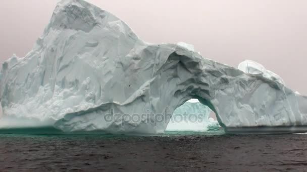 Arco de Darwin único iceberg glaciar único en el océano de la Antártida . — Vídeo de stock