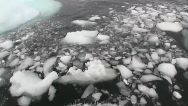 Los icebergs del movimiento de hielo del calentamiento global flotan en el océano de la Antártida . — Vídeo de stock