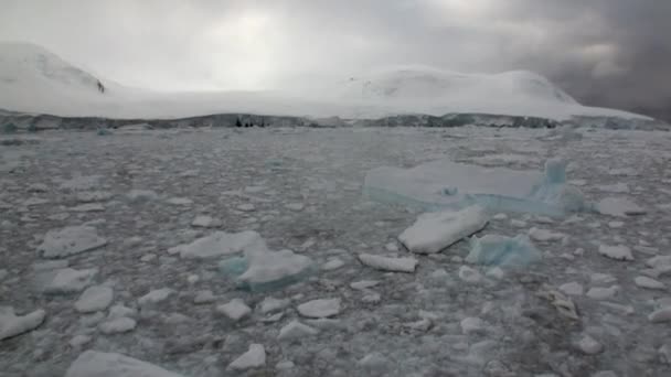 Lód lodowiec wybrzeże góry lodowej i śniegu w ocean Antarktydy. — Wideo stockowe