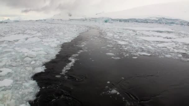 Huellas de olas en el agua del movimiento de hielo de los barcos y la costa de nieve en Argentina . — Vídeo de stock