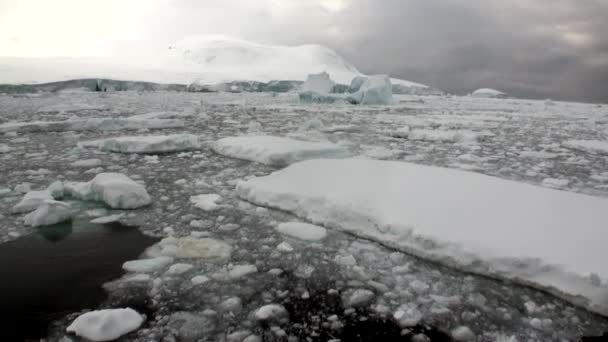 冰冰川冰山运动和雪海岸线在南极洲的海洋. — 图库视频影像