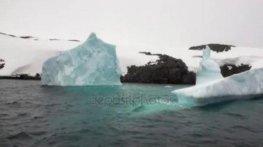 Buz buzul buzdağı ve kar kıyı şeridi okyanus Antarktika içinde.