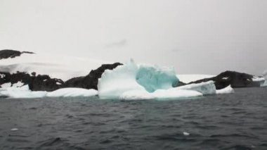 Buz buzul buzdağı ve kar kıyı şeridi okyanus Antarktika içinde.