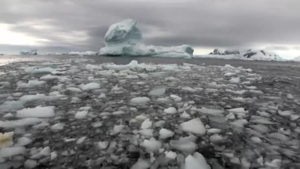 Ice rörelse isberg av globala uppvärmningen flyter i havet i Antarktis. — Stockvideo