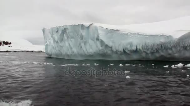 Icebergs de movimento de gelo flutua aquecimento global no oceano da Antártica. — Vídeo de Stock