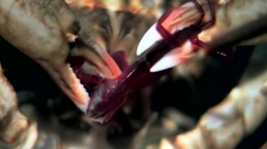 Hios yakaladı, ganimet dibinin beyaz deniz Rusya'nın su altında pençeleri ile Yengeç.