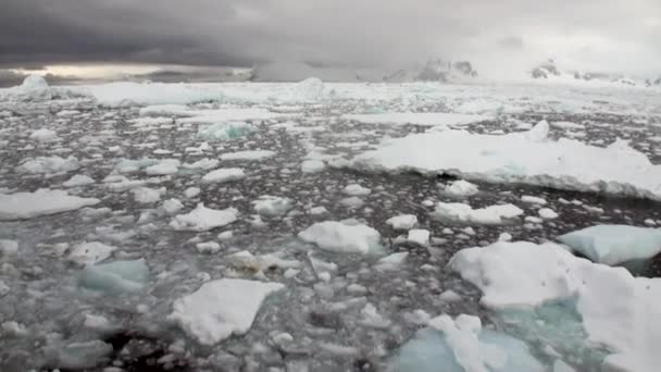 Movimiento de iceberg glaciar de hielo y costa de nieve en el océano de la Antártida . — Vídeo de stock