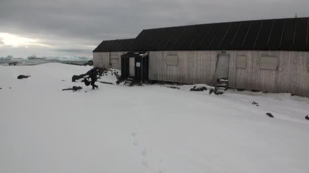 Люди в наукових антарктичних Станція Академік Вернадський. — стокове відео