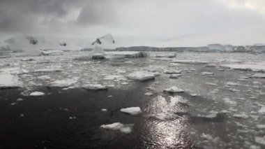 Hareket ve kar kıyı şeridi okyanus Antarktika buz.