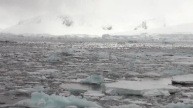 Hareket ve kar kıyı şeridi okyanus Antarktika buz.
