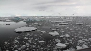 Antarktika'nın okyanusta gemisinden buz hareketi ile kar buzdağı ve buzul görüntülemek.