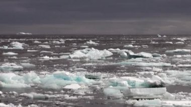 Hareket Buzdağı Antarktika okyanusta küresel ısınma yüzen bir buz.
