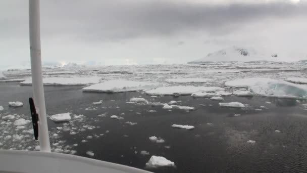 Κυκλοφορία πάγο και χιόνι παγόβουνο και παγετώνα θέα από το πλοίο στον ωκεανό της Ανταρκτικής. — Αρχείο Βίντεο