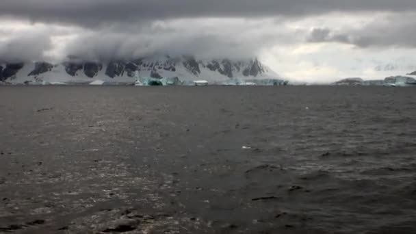 Ice movement and snow coastline in ocean of Antarctica. — Stock Video