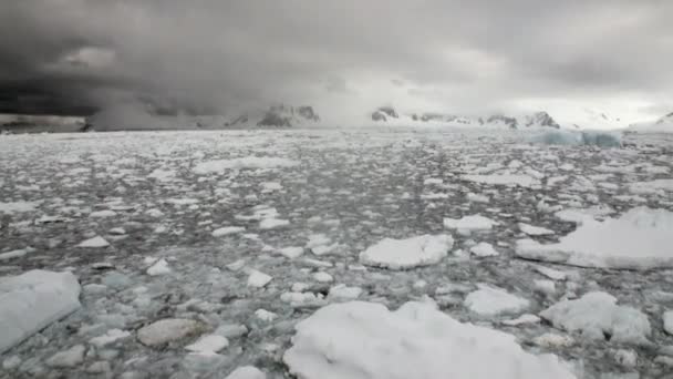 Movimiento de hielo y costa de nieve en el océano de la Antártida . — Vídeos de Stock