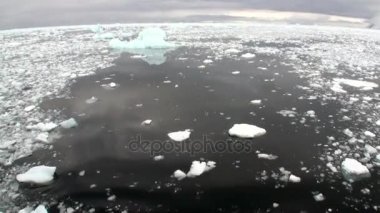 Antarktika okyanusta kar ve buz hareketi.