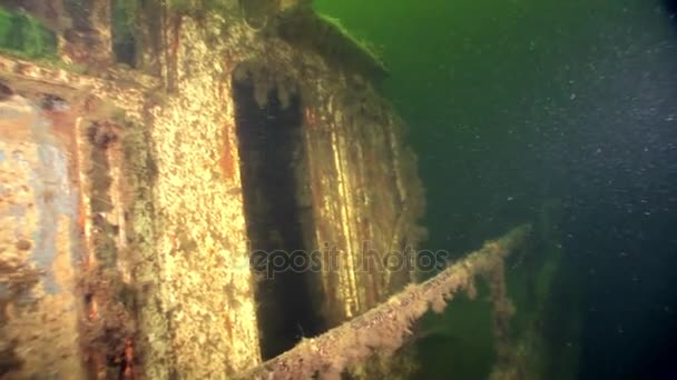 Méduse méduses sur épave de navire sous l'eau sur fond vert de la mer Blanche . — Video