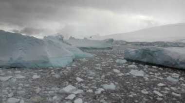 Buz buzul buzdağı hareket ve kar kıyı şeridi okyanus Antarktika içinde.