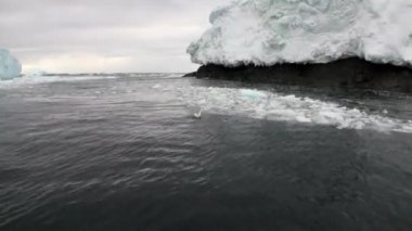 Hareket ve kar kıyı şeridi okyanus Antarktika buz.