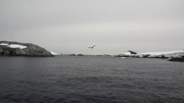 Snow coastline in ocean of Antarctica. — Stock Video