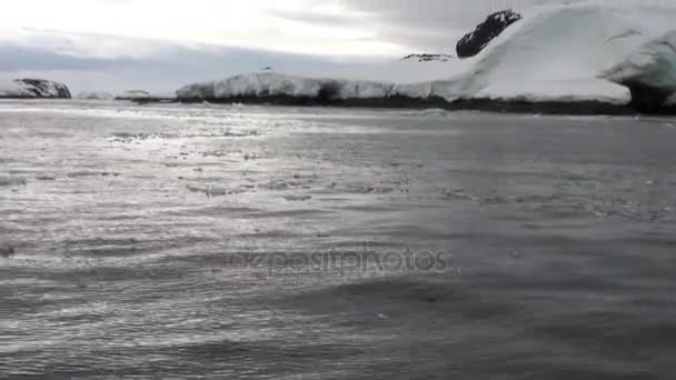 Movimiento de hielo y costa de nieve en el océano de la Antártida . — Vídeo de stock