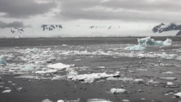 Los icebergs del movimiento de hielo del calentamiento global flotan en el océano de la Antártida . — Vídeos de Stock