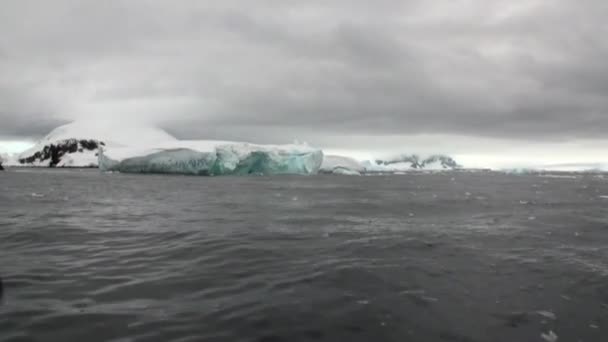 Ijs verkeer ijsbergen van mondiale opwarming van de aarde praalwagens in de oceaan van Antarctica. — Stockvideo