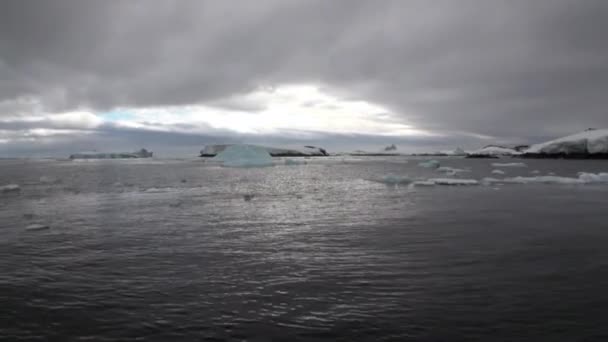 Costa de nieve y movimiento de hielo en el océano de la Antártida . — Vídeos de Stock