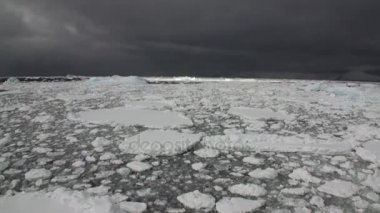 Antarktika buz hareketi üzerinde arka plan siyah sky Okyanusu.