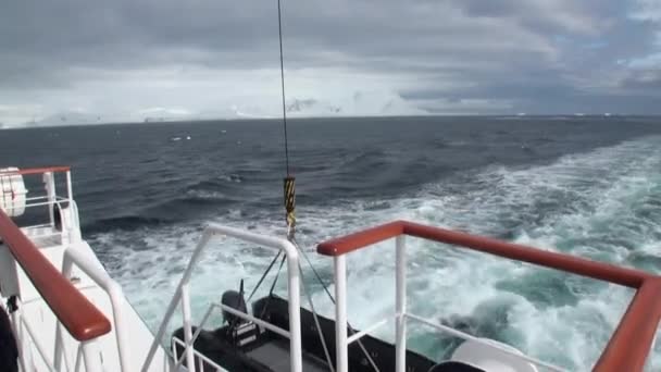 Mouvement des glaces et iceberg des neiges et vue sur les glaciers depuis un navire dans l'océan Antarctique . — Video