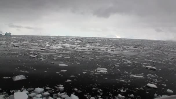 Ice movement and snow iceberg and glacier view from ship in ocean of Antarctica. — Stock Video