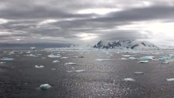 Los icebergs del movimiento de hielo del calentamiento global flotan en el océano de la Antártida . — Vídeo de stock