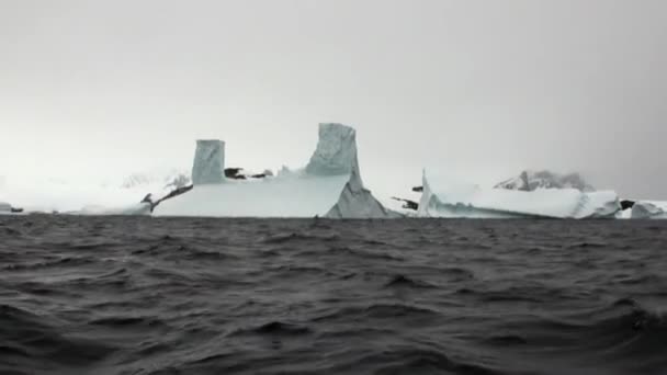 Величезний унікальний льодовик айсберг в океані Антарктиди. — стокове відео
