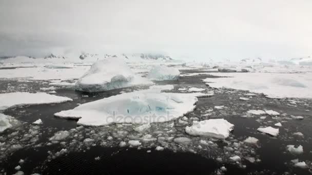 Movimento del ghiaccio e costa innevata nell'oceano dell'Antartide . — Video Stock