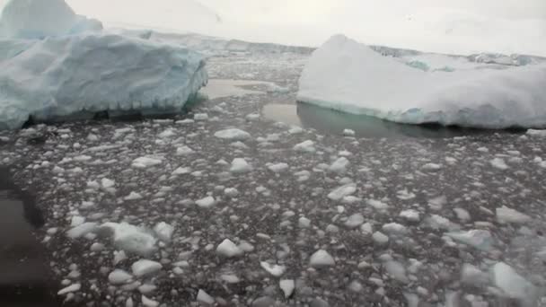 Mouvement des icebergs glaciaires et littoral enneigé dans l'océan Antarctique . — Video