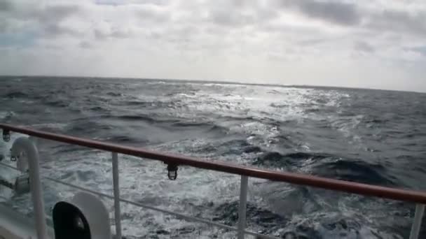 Trace golven op water uit schip in Argentinië. — Stockvideo