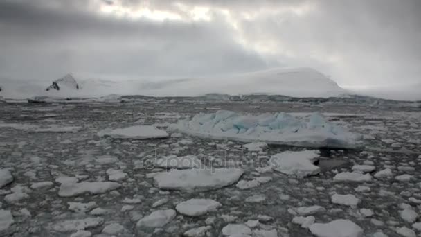 氷の動きと、南極の海雪の海岸線. — ストック動画