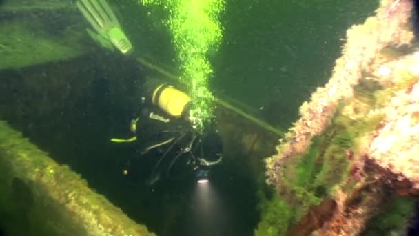 Plongeur près d'épaves rouillées naufrage sur la plage de la mer Blanche Russie . — Video