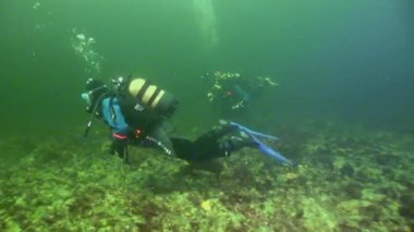 Scuba diver yansıma güneş ışığı su altında arka plan üzerinde.
