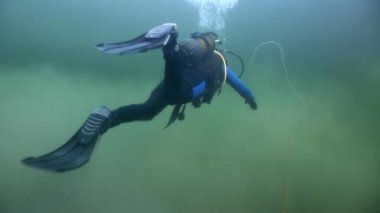 Scuba diver siluet yansıma güneş ışığı su altında arka plan üzerinde.