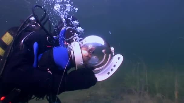 Cat plongeur sous-marin sur fond de réflexion lumière du soleil sous l'eau . — Video