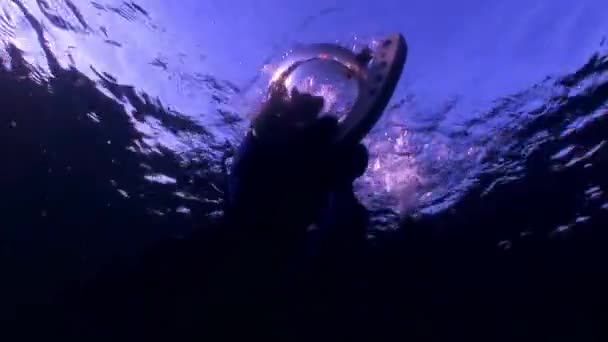 Katze Taucher auf dem Hintergrund der Reflexion Sonnenlicht unter Wasser. — Stockvideo