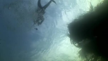 Scuba diver siluet yansıma güneş ışığı su altında arka plan üzerinde.