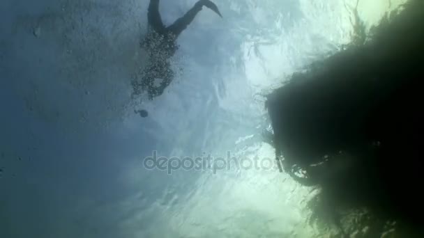 Scuba diver silhouette on background of reflection sunlight underwater. — Stock Video