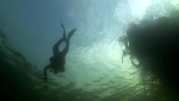 水中は日光を反射の背景にスキューバ ダイバー シルエット. — ストック動画
