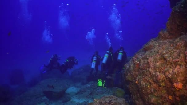 Dalgıç doğal deniz akvaryum sualtı deniz yatağı üzerinde balık sürüsü fener ile. — Stok video